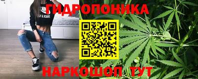 скорость Будённовск