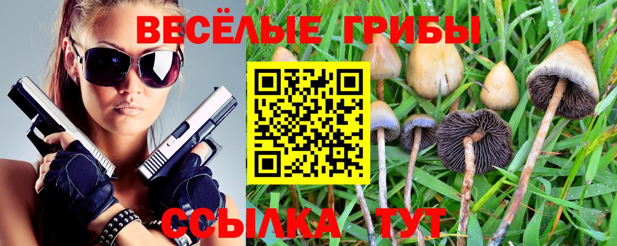 Рубцовск  Псилоцибиновые грибы мухоморы  Вход с VPN 