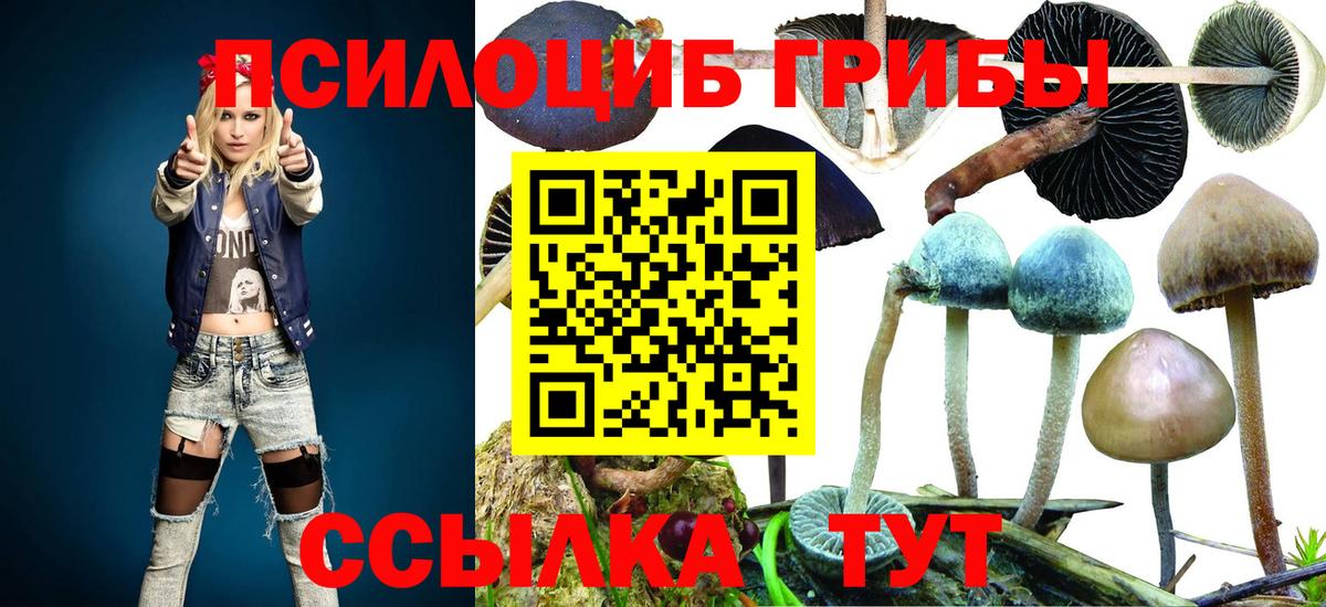 Галлюциногенные грибы ЛСД Рубцовск